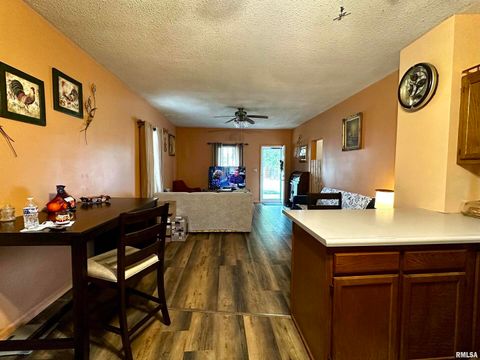 Tiny photo for 305 W LINCOLN Street, Harrisburg, IL 62946 (MLS # QC4267159)