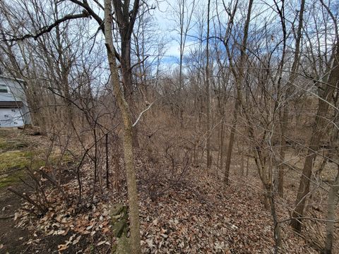 Tiny photo for 408 E 4th Street, Spring Valley, IL 61362 (MLS # 12548635)