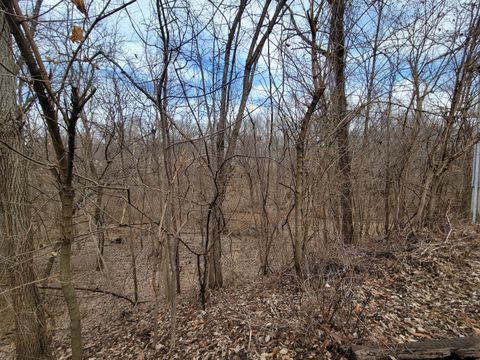 Tiny photo for 408 E 4th Street, Spring Valley, IL 61362 (MLS # 12548635)