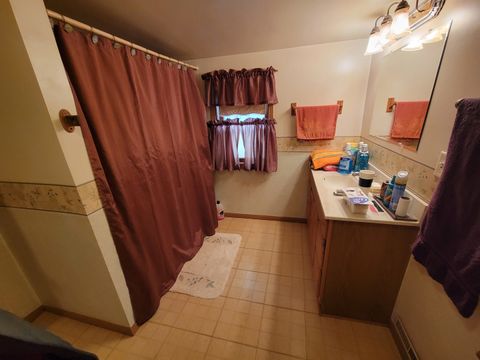 Tiny photo for 408 E 4th Street, Spring Valley, IL 61362 (MLS # 12548635)