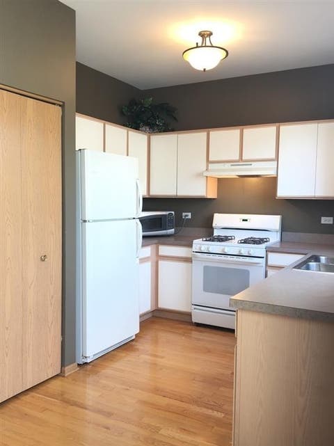 Tiny photo for 484 Littleton Trail, Elgin, IL 60120 (MLS # 12727157)