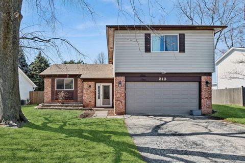 Photo of 313 Thistle Drive, Bolingbrook, IL 60490 (MLS # 12592304)