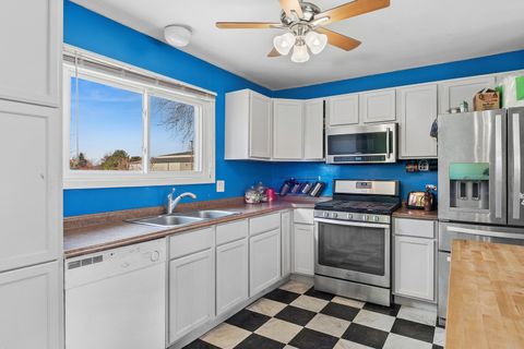 Tiny photo for 313 Thistle Drive, Bolingbrook, IL 60490 (MLS # 12592304)