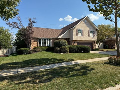 Photo of 16401 Tanbark Drive, Tinley Park, IL 60477 (MLS # 12487803)