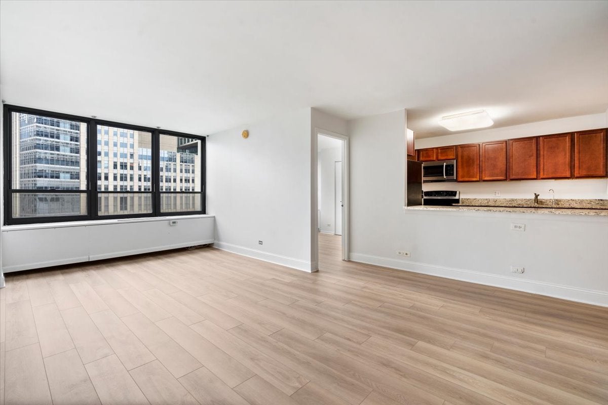 222 E PEARSON Street 1606