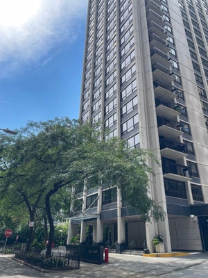 222 E PEARSON ST APT 1606, CHICAGO, IL 60611 - Image 4901f455b33fe4e6019e81f6b63dfd23/848517208