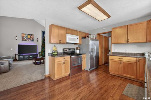 Tiny photo for 313 SULLIVAN Drive, Colona, IL 61241 (MLS # QC4270041)