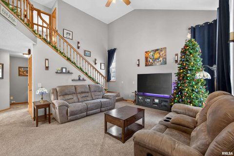 Tiny photo for 313 SULLIVAN Drive, Colona, IL 61241 (MLS # QC4270041)