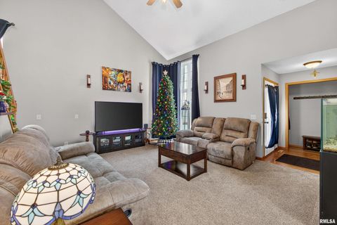 Tiny photo for 313 SULLIVAN Drive, Colona, IL 61241 (MLS # QC4270041)