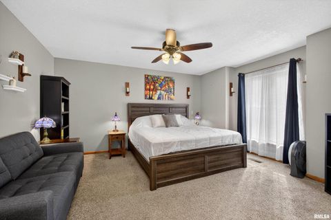 Tiny photo for 313 SULLIVAN Drive, Colona, IL 61241 (MLS # QC4270041)