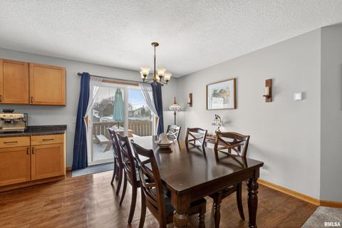 Tiny photo for 313 SULLIVAN Drive, Colona, IL 61241 (MLS # QC4270041)