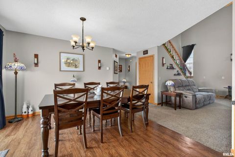 Tiny photo for 313 SULLIVAN Drive, Colona, IL 61241 (MLS # QC4270041)