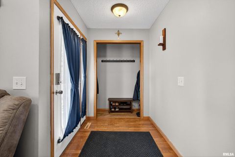 Tiny photo for 313 SULLIVAN Drive, Colona, IL 61241 (MLS # QC4270041)