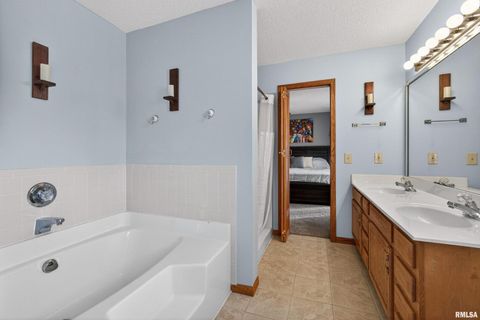 Tiny photo for 313 SULLIVAN Drive, Colona, IL 61241 (MLS # QC4270041)