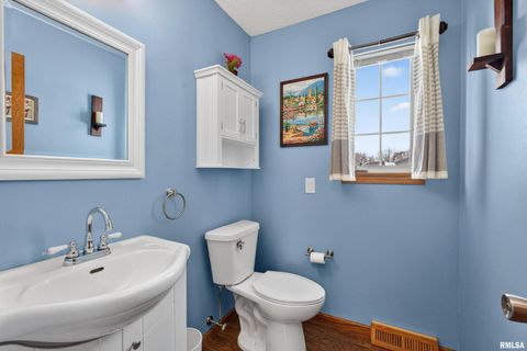 Tiny photo for 313 SULLIVAN Drive, Colona, IL 61241 (MLS # QC4270041)