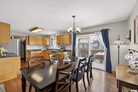 Tiny photo for 313 SULLIVAN Drive, Colona, IL 61241 (MLS # QC4270041)