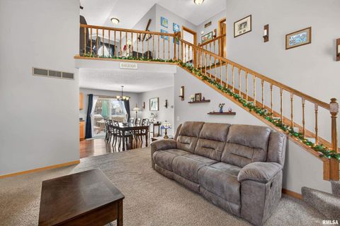 Tiny photo for 313 SULLIVAN Drive, Colona, IL 61241 (MLS # QC4270041)