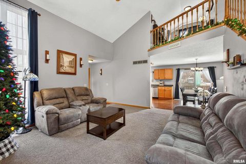 Tiny photo for 313 SULLIVAN Drive, Colona, IL 61241 (MLS # QC4270041)