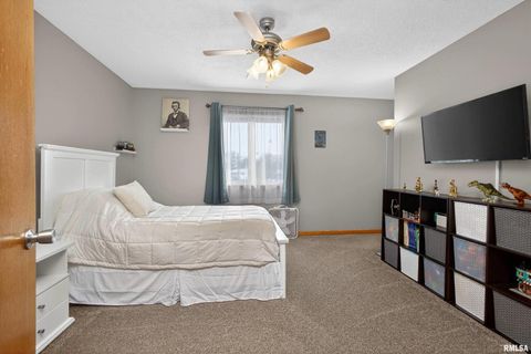 Tiny photo for 313 SULLIVAN Drive, Colona, IL 61241 (MLS # QC4270041)