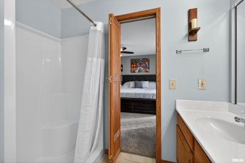 Tiny photo for 313 SULLIVAN Drive, Colona, IL 61241 (MLS # QC4270041)