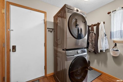 Tiny photo for 313 SULLIVAN Drive, Colona, IL 61241 (MLS # QC4270041)