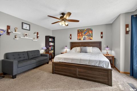 Tiny photo for 313 SULLIVAN Drive, Colona, IL 61241 (MLS # QC4270041)