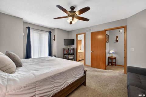 Tiny photo for 313 SULLIVAN Drive, Colona, IL 61241 (MLS # QC4270041)