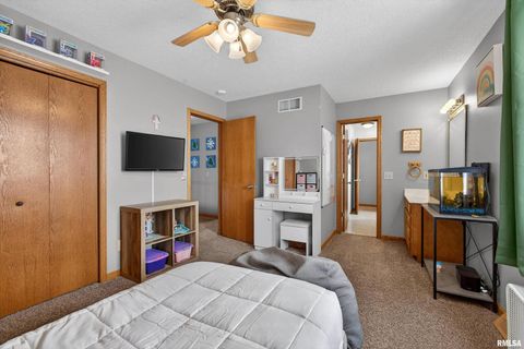 Tiny photo for 313 SULLIVAN Drive, Colona, IL 61241 (MLS # QC4270041)