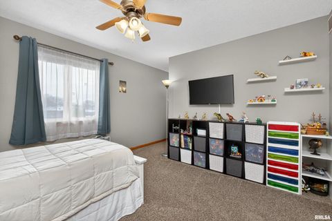 Tiny photo for 313 SULLIVAN Drive, Colona, IL 61241 (MLS # QC4270041)