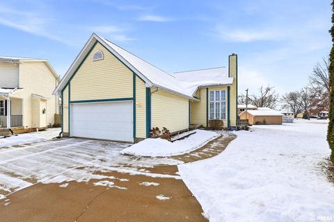 Photo of 313 SULLIVAN Drive, Colona, IL 61241 (MLS # QC4270041)