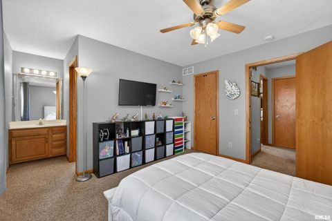 Tiny photo for 313 SULLIVAN Drive, Colona, IL 61241 (MLS # QC4270041)