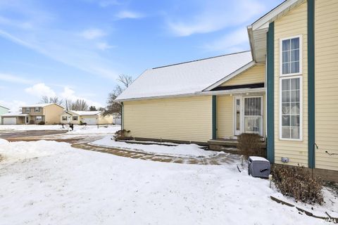 Tiny photo for 313 SULLIVAN Drive, Colona, IL 61241 (MLS # QC4270041)