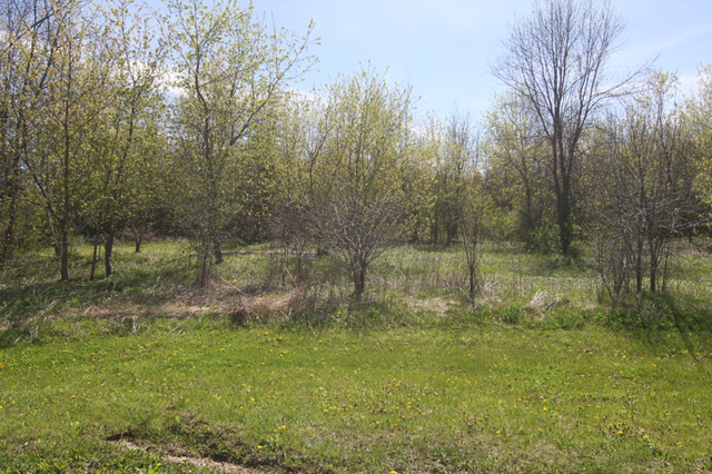 Lot 23 Applewood Court