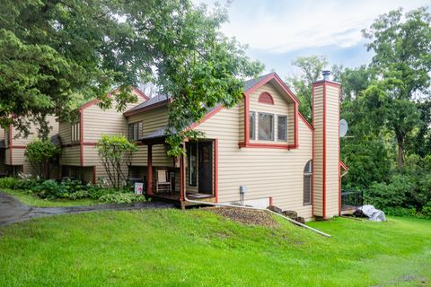 Tiny photo for 41 Spring Creek Lane, Galena, IL 61036 (MLS # 12450839)