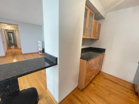 Tiny photo for 3950 N LAKE SHORE Drive #1320, Chicago, IL 60611 (MLS # 12735056)