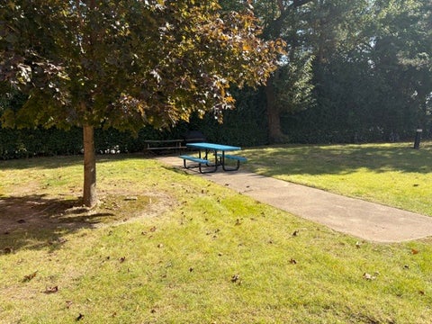 Tiny photo for 6882 W Touhy Avenue #B, Niles, IL 60714 (MLS # 12793371)