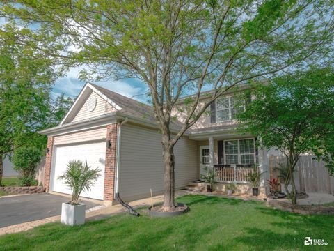 Tiny photo for 424 Grape Vine Trail, Oswego, IL 60543 (MLS # 12418117)