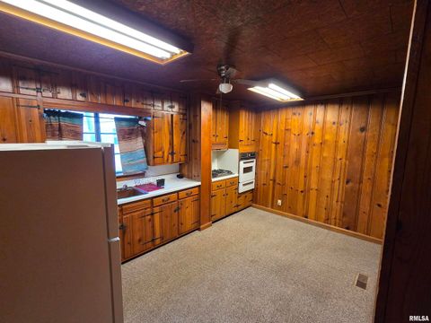 Tiny photo for 143 E POSEY Street, Shawneetown, IL 62984 (MLS # EB460663)