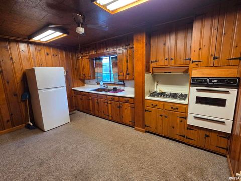 Tiny photo for 143 E POSEY Street, Shawneetown, IL 62984 (MLS # EB460663)