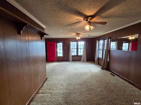 Tiny photo for 143 E POSEY Street, Shawneetown, IL 62984 (MLS # EB460663)