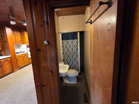 Tiny photo for 143 E POSEY Street, Shawneetown, IL 62984 (MLS # EB460663)