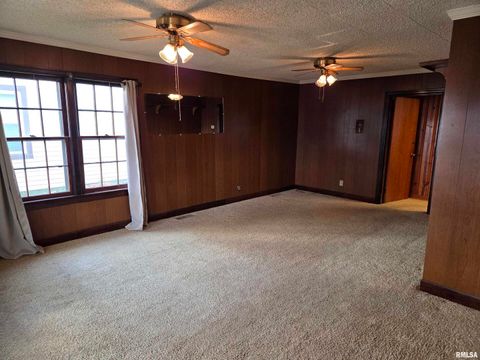 Tiny photo for 143 E POSEY Street, Shawneetown, IL 62984 (MLS # EB460663)