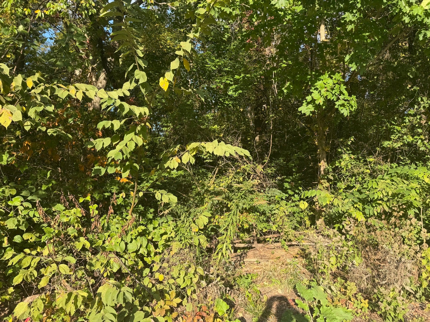 LOT 2 RIVER OAKS Road