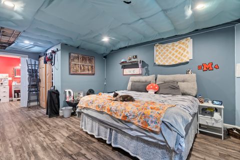 Tiny photo for 25726 S BLACKBERRY Lane, Channahon, IL 60410 (MLS # 12447889)