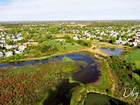 Tiny photo for 36 W Dahlia Lane, Round Lake Beach, IL 60073 (MLS # 12794402)