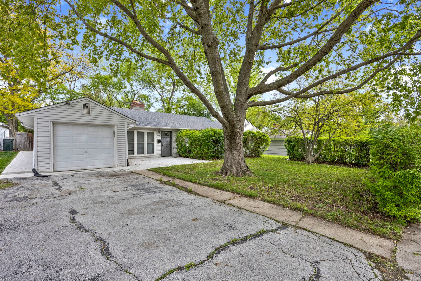 348 Niagara Street