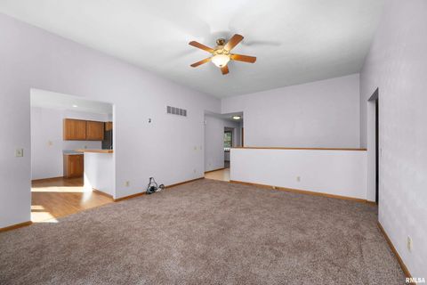 Tiny photo for 1617 300TH Street, Sherrard, IL 61281 (MLS # QC4269073)