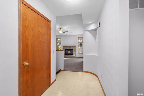 Tiny photo for 1617 300TH Street, Sherrard, IL 61281 (MLS # QC4269073)