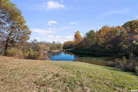 Tiny photo for 1617 300TH Street, Sherrard, IL 61281 (MLS # QC4269073)