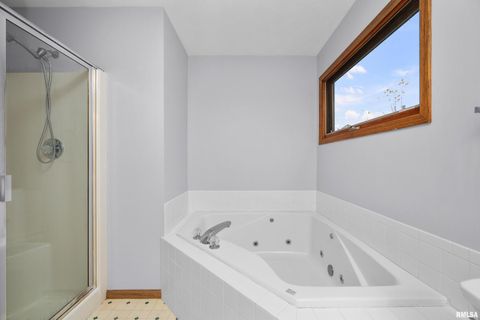 Tiny photo for 1617 300TH Street, Sherrard, IL 61281 (MLS # QC4269073)